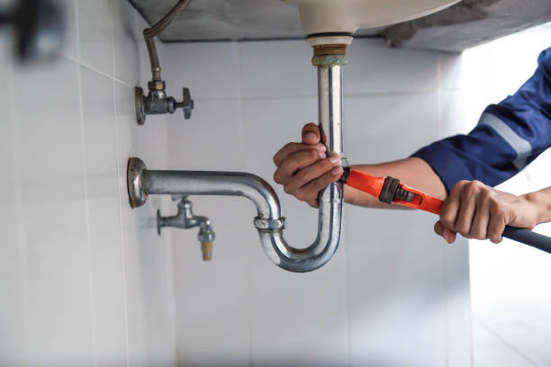 Best Plumbing Inspection Services  in Wolfe City, TX