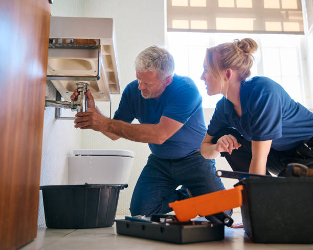 Best Local Plumber Services  in Wolfe City, TX